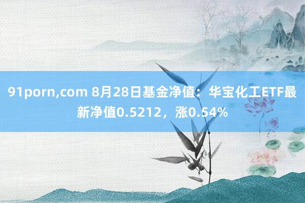 91porn，com 8月28日基金净值：华宝化工ETF最新净值0.5212，涨0.54%