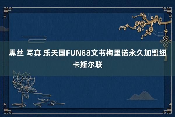 黑丝 写真 乐天国FUN88文书梅里诺永久加盟纽卡斯尔联