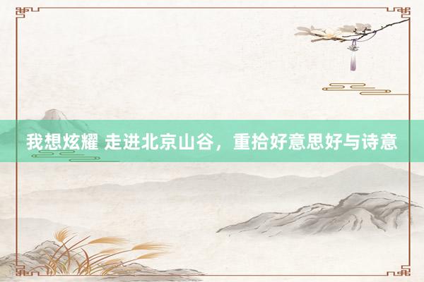 我想炫耀 走进北京山谷，重拾好意思好与诗意