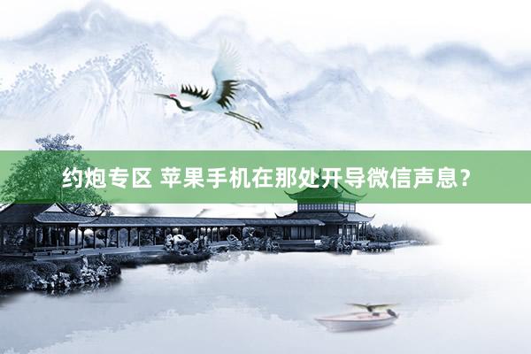 约炮专区 苹果手机在那处开导微信声息？