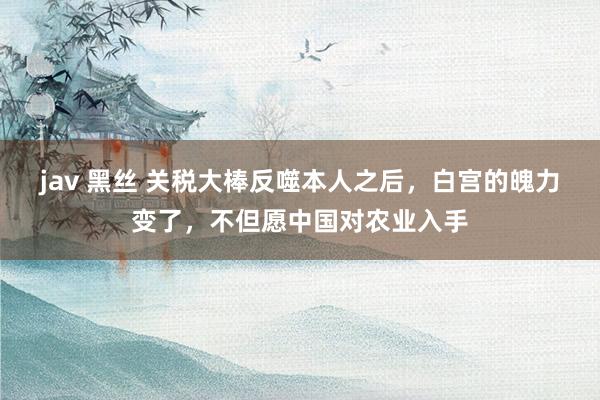 jav 黑丝 关税大棒反噬本人之后，白宫的魄力变了，不但愿中国对农业入手
