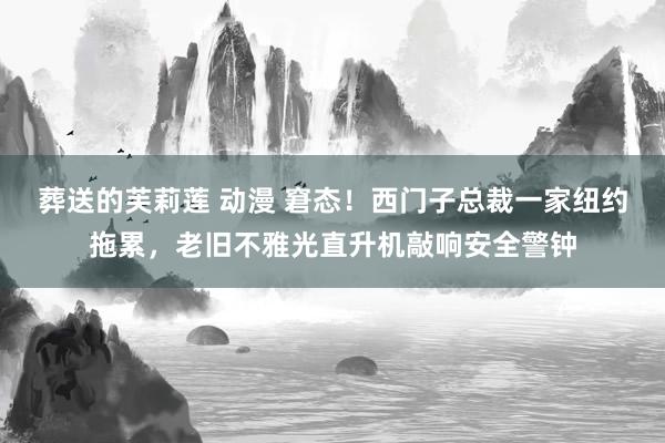 葬送的芙莉莲 动漫 窘态！西门子总裁一家纽约拖累，老旧不雅光直升机敲响安全警钟