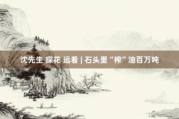 沈先生 探花 远看 | 石头里“榨”油百万吨