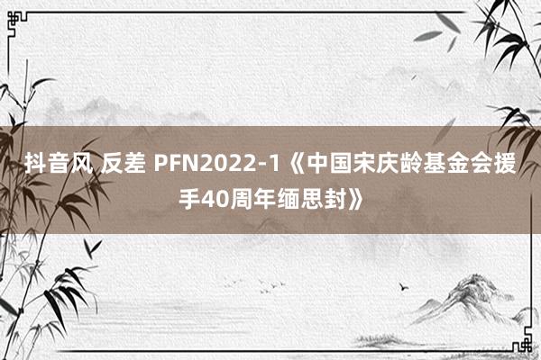 抖音风 反差 PFN2022-1《中国宋庆龄基金会援手40周