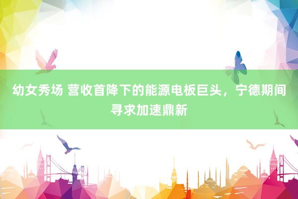 幼女秀场 营收首降下的能源电板巨头，宁德期间寻求加速鼎新